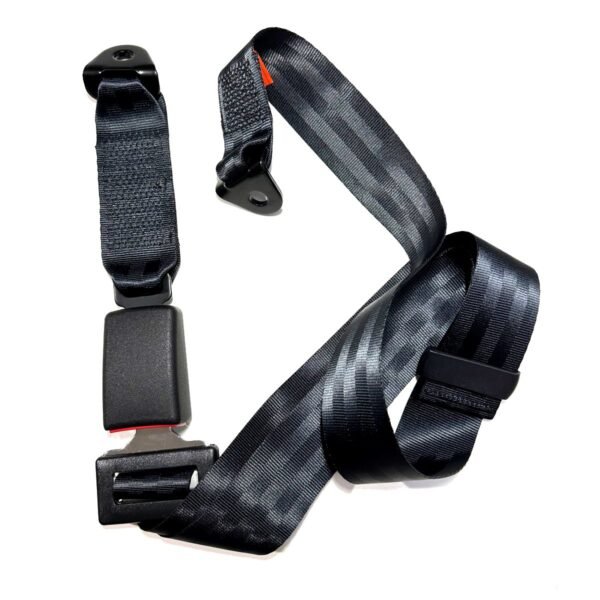 Juego x2 Cinturones de Seguridad Fijo de 2 Puntos