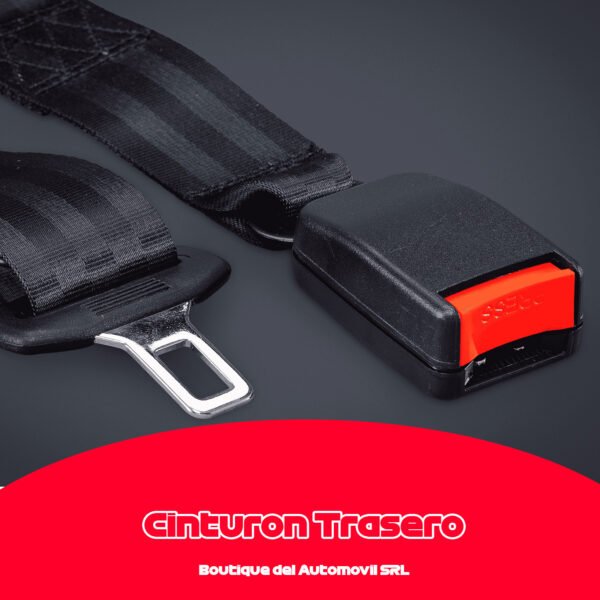 Juego x2 Cinturones de Seguridad Fijo de 2 Puntos